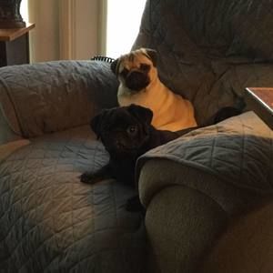 Meet your Posher, Candy